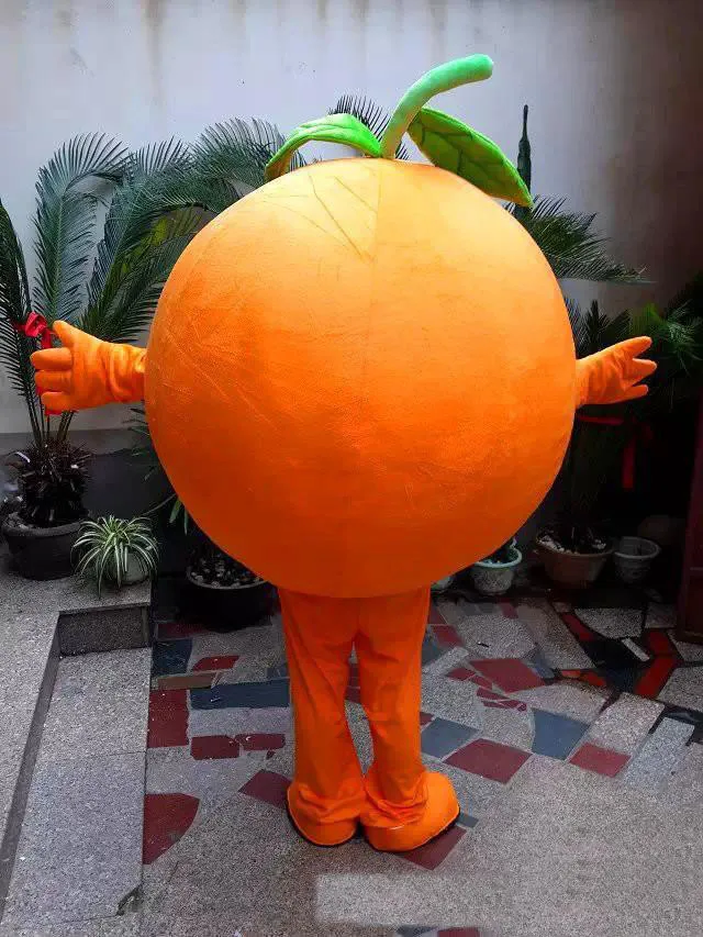 orange fruit fancy dress Amazon.com: FantastCostumes Adult Sliced Orange Costume Fruit Halloween  Funny Set with Hat : Clothing, Shoes & Jewelry