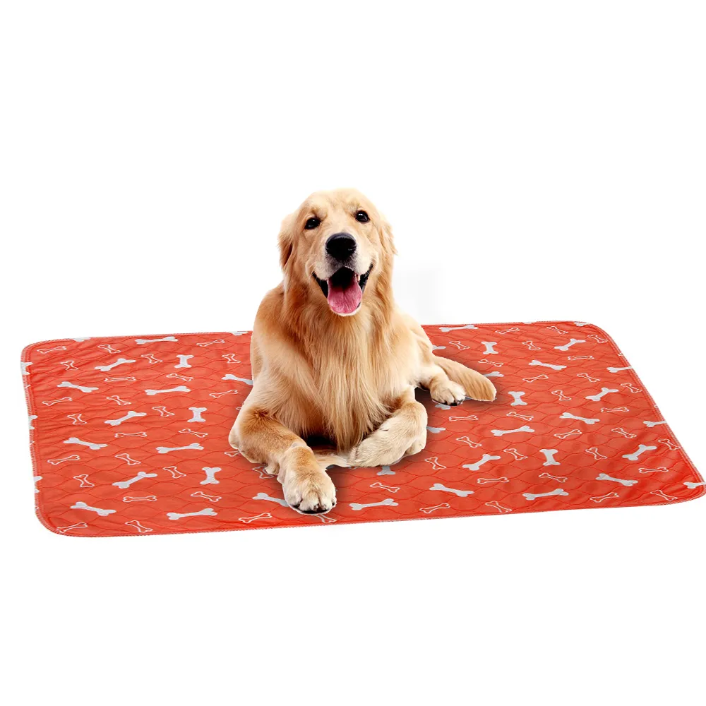 Tapis d'entraînement imperméable et réutilisable pour chien Tapis