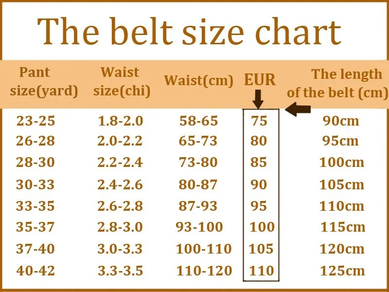 Women s Genuine Leather Belt with Smooth Buckle Classic Design Black with Silver Buckle 3.0cm Width Includes Box
