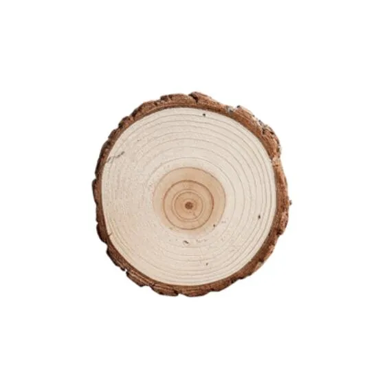كومة صغيرة خشبية قاعدة الديكور جدعة الأصلي خشب التنوب شجرة التصوير صور الدعائم ديي الديكور العرض