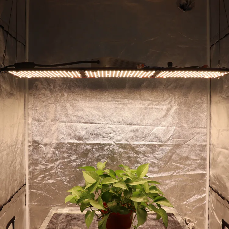 320W full spectrum LED panel light with Samsung LM301B chips 3000K ...
