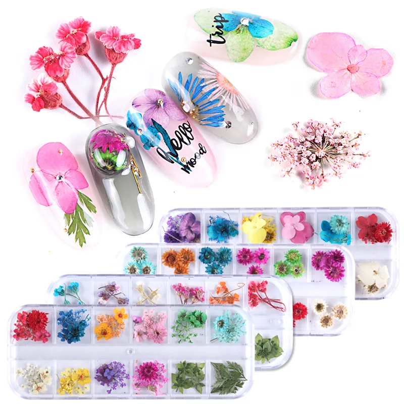 Adesivi per decorazioni per unghie 3D Adesivi per fiori secchi Foglia per gel UV floreale reale Smalto per fiori naturali Adesivo per cursori Set di decalcomanie per manicure di bellezza