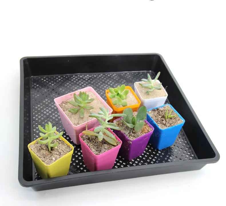 Mini-vierkant Plastic Planters Bloempot Thuiskantoor Decor Planter Kleurrijk met Potten Laden Groene Planten Kunstmatig