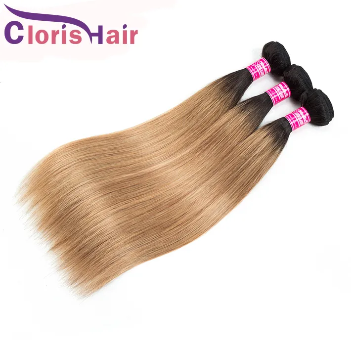 Highlight 1b/27 Ombre Extensions Rohes jungfräuliches indisches menschliches Haar Bundles 3PCs billig zwei Ton