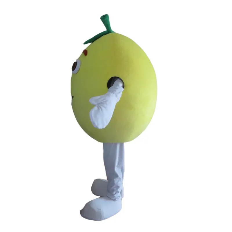 Fruit Grapefruit Costume Outfits Adult Women Men Cartoon Mascot costume For Carnival Festival Commercial Activity