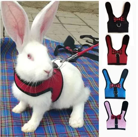 Króliki Hamster Kamizelka Uprząż Z Leas Bunny Mesh Paski Pasek Beelness Fretki Gwinea Świnia Małe Zwierzęta Akcesoria Pet S / M / L GB1320