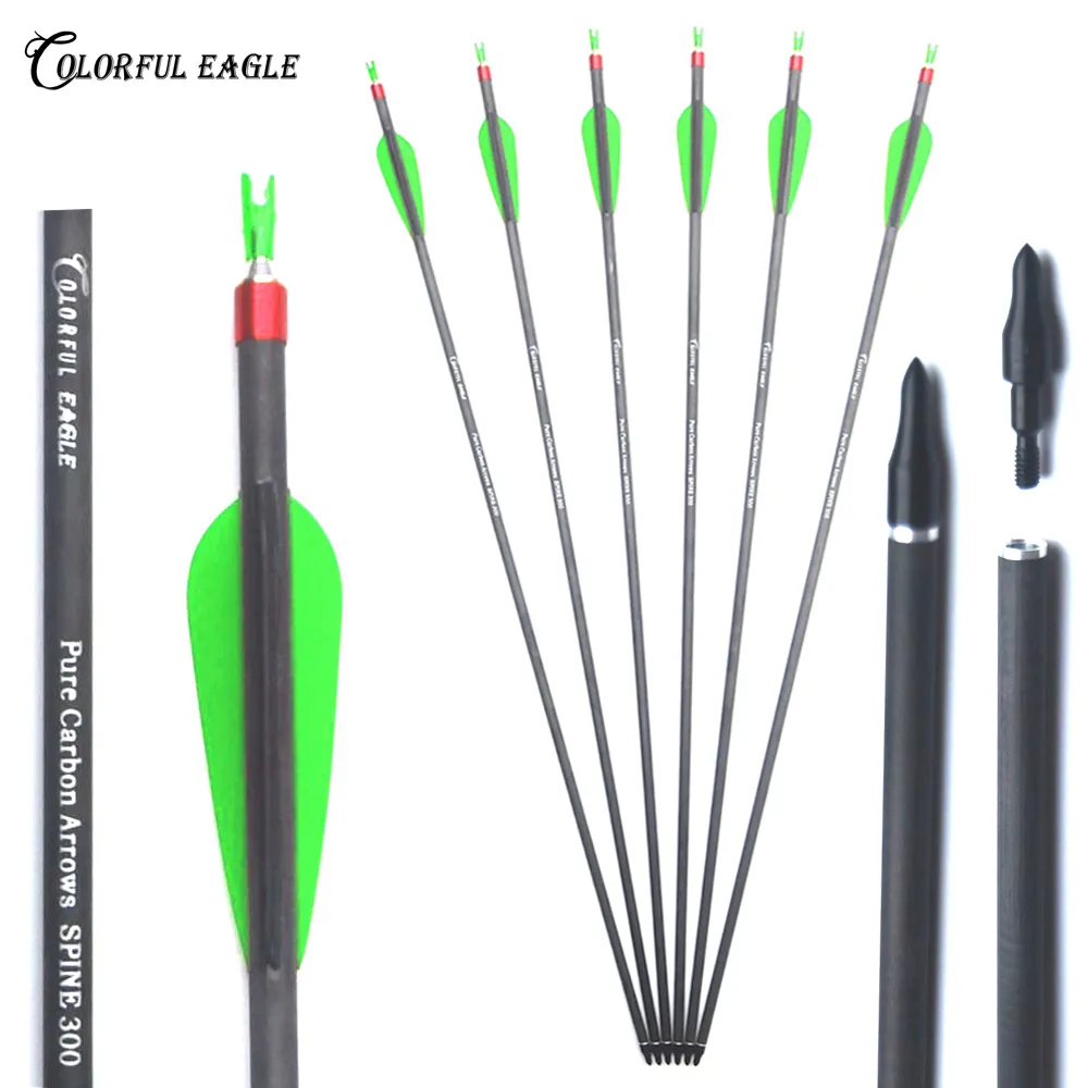 28" 30" 31" Archery Pure Carbon Arrow Hunting And Practice Targeting Arrow with Replaceable Tips and 3" Vanes For Recurve Compound Bow