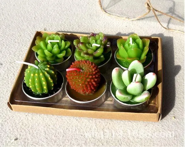 6pcs 1set Candele decorative per matrimoni Mini Cactus Candela da tavolo Tea Light Giardino domestico Simulazione Pianta Candela Decorazioni per la casa SN2583