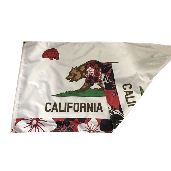Dwustronna Kalifornia Flagi Republiki 3x5 FT 90x150cm Dwu same flagi z jedną blokową tkaninę w środku