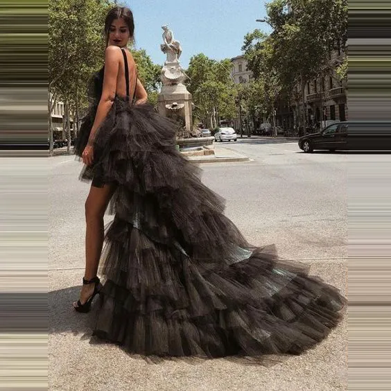 Black Prom Long Dress Hi-Lo A-Line Tulle Lace V-Neck Spaghetti Straps Low  Back Evening Gown from Dhgate Prom Dresses - price 113.37