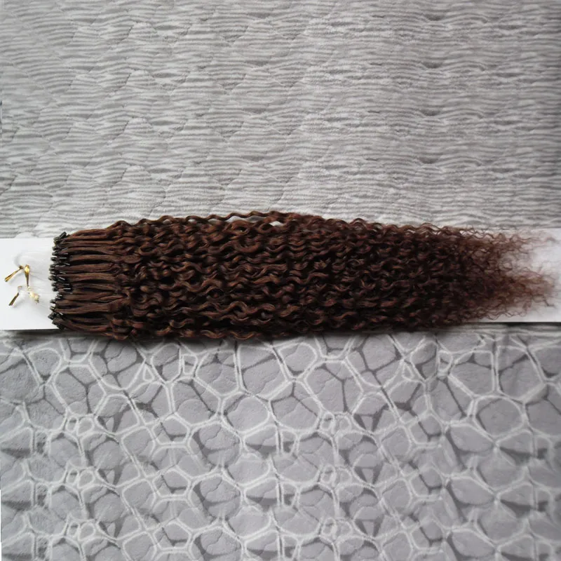 Micro Loop Ring Hårförlängningar 1g / s 100g 100pieces Afro Kinky Curly Highlighted Remy Hair Pre Bonded Micro Loop Hair