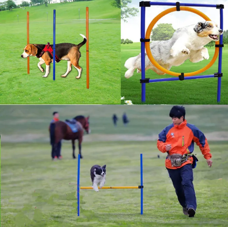 Los últimos suministros de entrenamiento para perros de tres piezas, equipo ágil para mascotas, equipo de entrenamiento al aire libre, anillo de salto de un solo poste alrededor de la pila