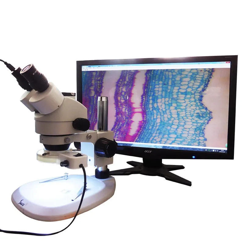 Wholesale USB Video CCD Camera Biological Stereo Microscope Image ...