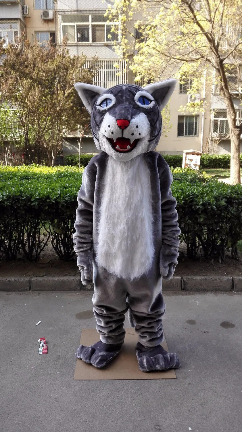 Grey cat halloween costume outlet
