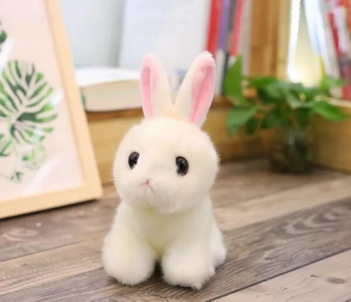 Pet rabbit supplies for sale top