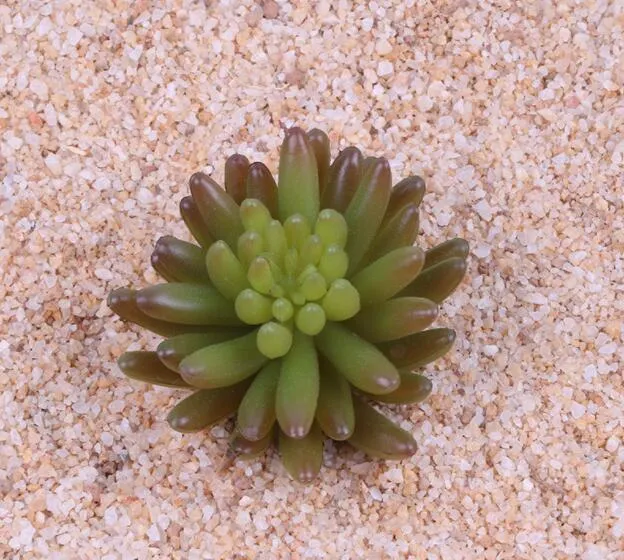 PVC Succulent Plants Without Pot Artificial Succulents Plants Multi