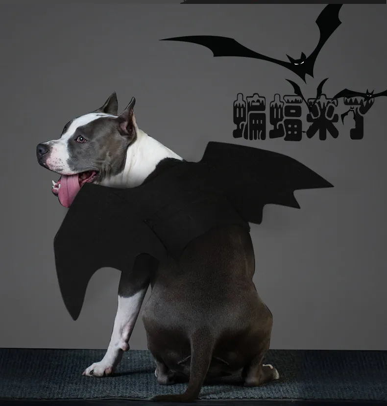 Vestito di Batman per Cani