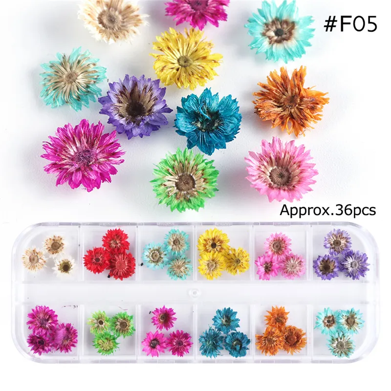 FRCOLOR 120 Pcs Nail Dried Flowers for Acrylic Nails Dried Flowers for  Nails Art Design Real Dry Flowers for Nails Dry Flowers for Nail Art Nail  Art