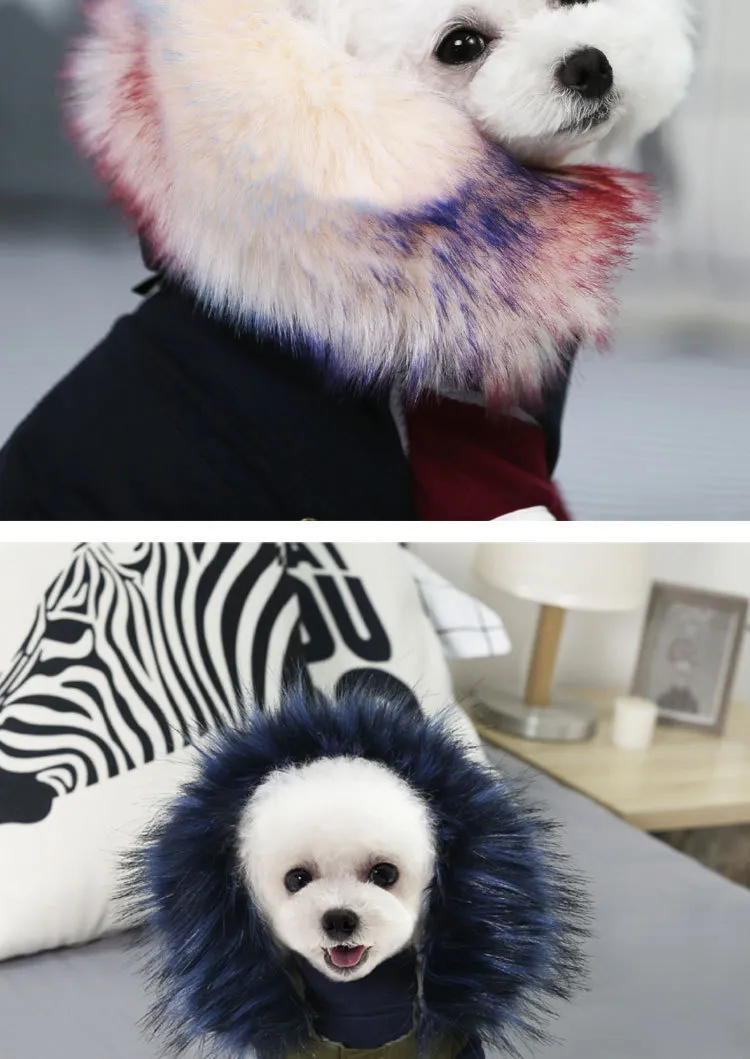 Luxury Dog Clothes (6)