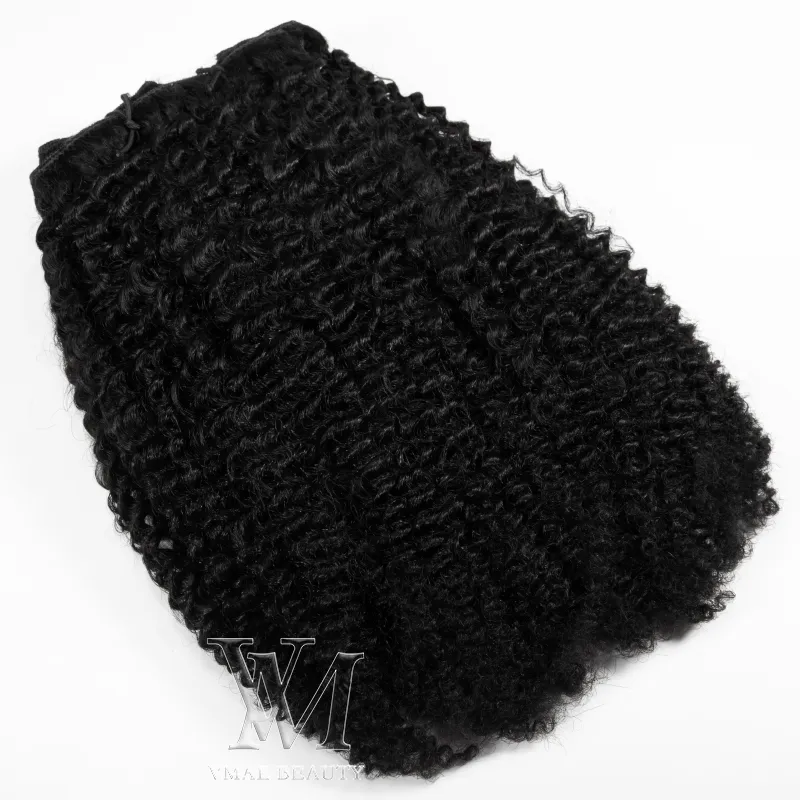 Malaisien Naturel Naturel Noir 100g 8 à 24 pouces Afro Kinky Curly 4A 4C Remy Virgin Virgin Hair Extensions Clip dans