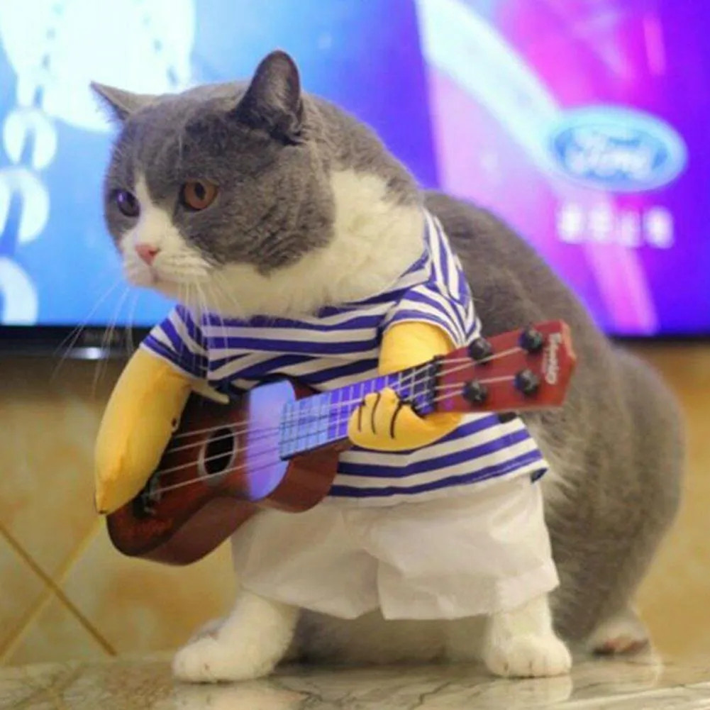 Cat in guitar costume sale