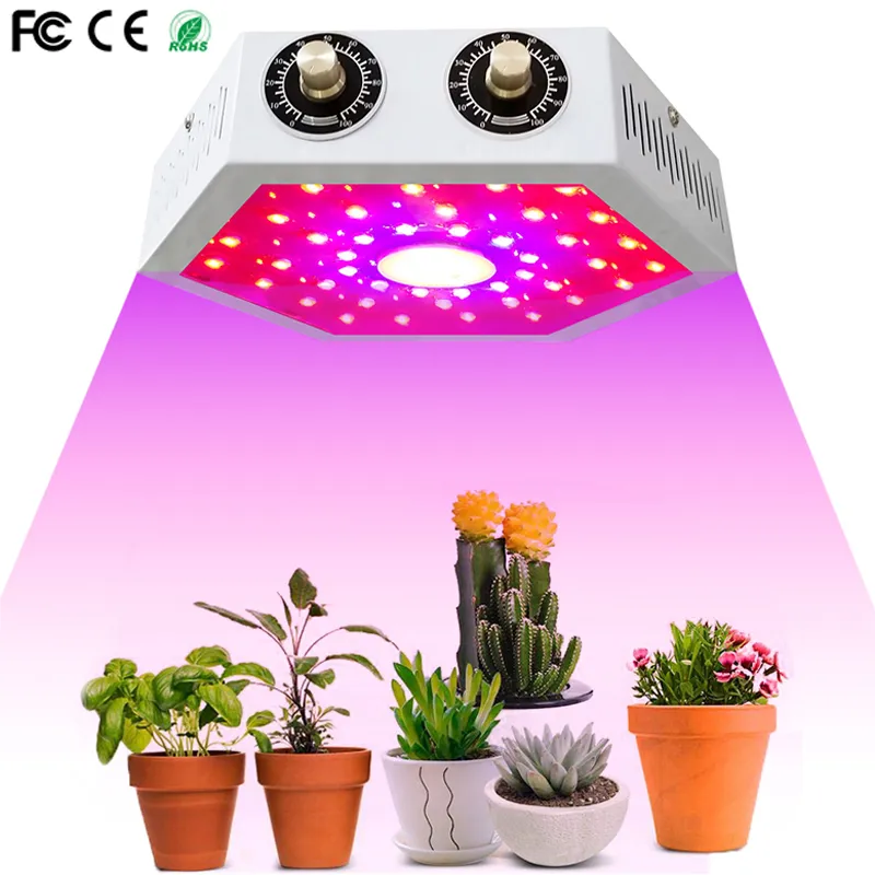 COB LED Grow Light 1000W Full Spectrum Dubbeljusterbar växel Växande lampor för Inomhus Växthus Tältväxter Växt LED-ljus