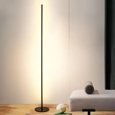 Moderna minimalista Lampade a stelo Nordic creativo semplice personalizzato Soggiorno Camera lampade a LED Black Iron arte Standing Fixture