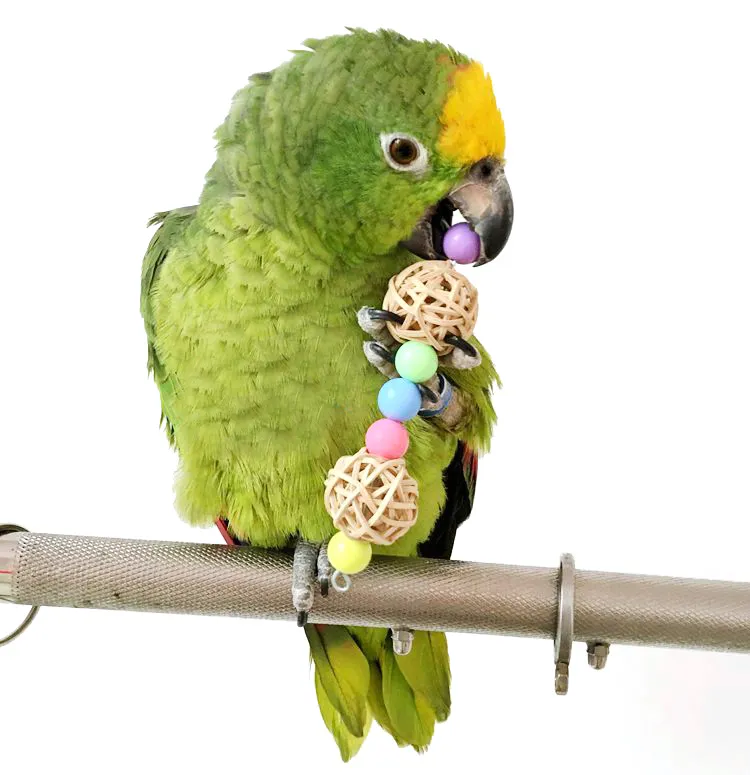 Rainbow Parrots Toys Parakeet Climb Chew Toy Bird huśtawka gniazdka huśtawka klatka wisząca wisząca drabina zapasy 233i