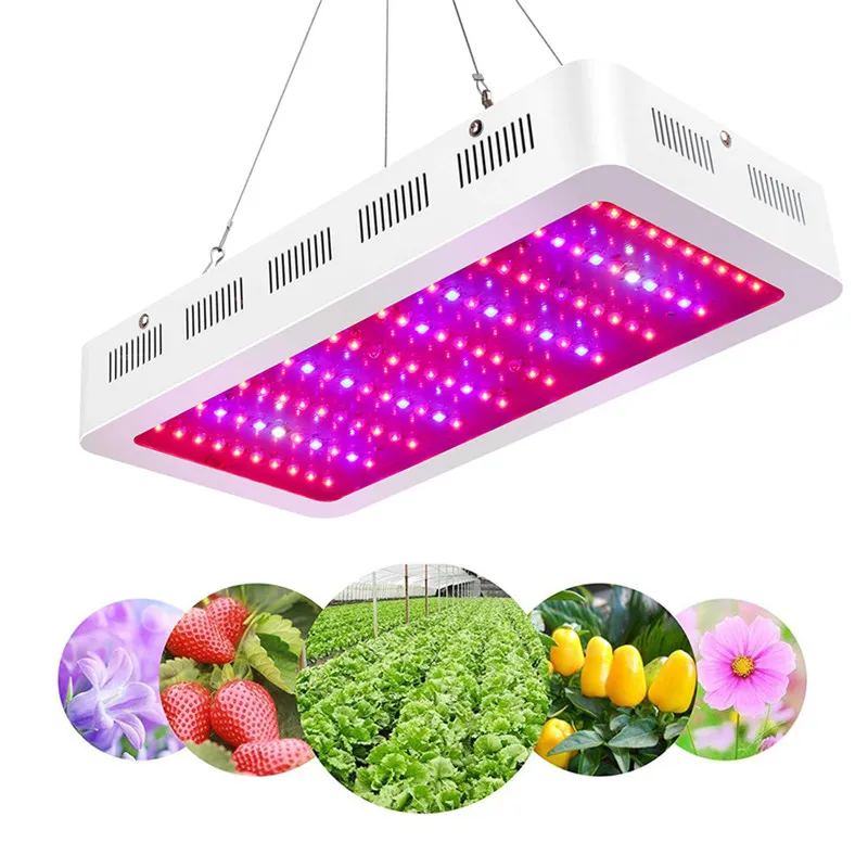 1000W 1200W 2000W LED 성장 빛, UV / IR, 가변 밧줄, 실내 식물에 대 한 성장 램프와 함께 최신 전체 스펙트럼 식물 빛 Veg Flower