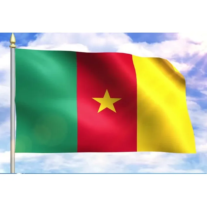 Drapeau Cameroun - 90 x 150 cm