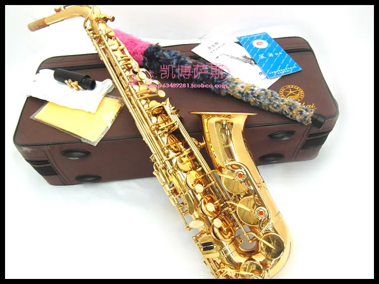 Nuovo di alta qualità Xinghai XAS-180 Sassofono contralto Strumenti musicali Eb Tune E Ottone piatto Lacca dorata Sax con bocchino Accessori