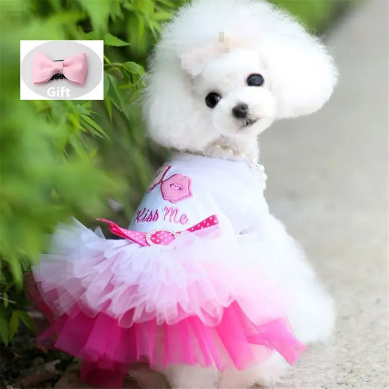 Hondenkleding voor kleine honden Jurk Sweety Prinses Jurk Lente Zomer Puppy Kleine Hond Kant Prinses Chihuahua Hond