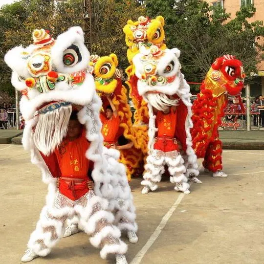 Premium Lion Dance Costume Lion Dancing Southern Lion Dance Performance