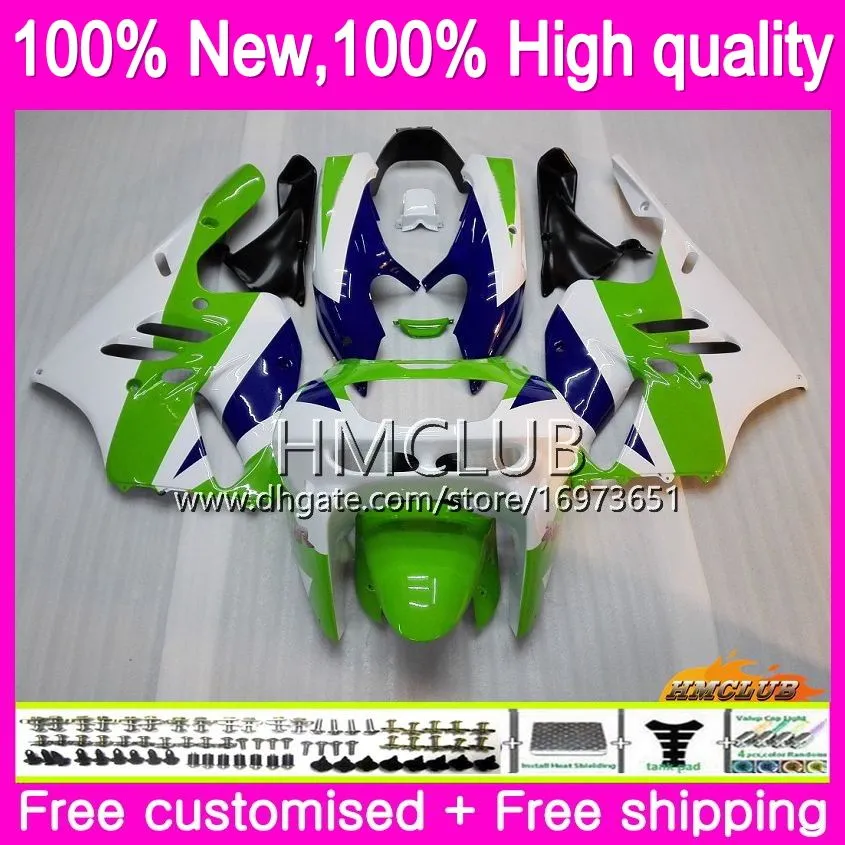 Cuerpo para KAWASAKI ZX 9R ZX900 CC ZX-9R 94 95 96 97 Kit 69HM.10 Verde blanco ZX900CC ZX 9 R 94 97 900CC ZX9R 1994 1995 1996 1997 Carenado completo