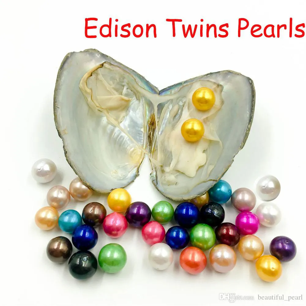 2024 DIY 9 12mm Edison Twin Pearls In Oysters Pearl Oyster Luxury