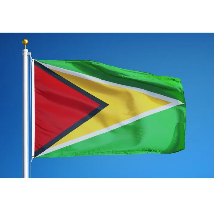 Bandeira de Guyana 3x5ft alta qualidade 100D Polyester suspensão vôo Qualquer Estilo 90x150cm Nacionalidade País Bandeira da bandeira Drop Shipping