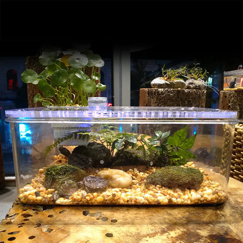 Plastic Transparent Fish Tank Insect Reptile Breeding Feeding Box Large  Capacity Aquarium Habitat Tub Turtle Tank Platform