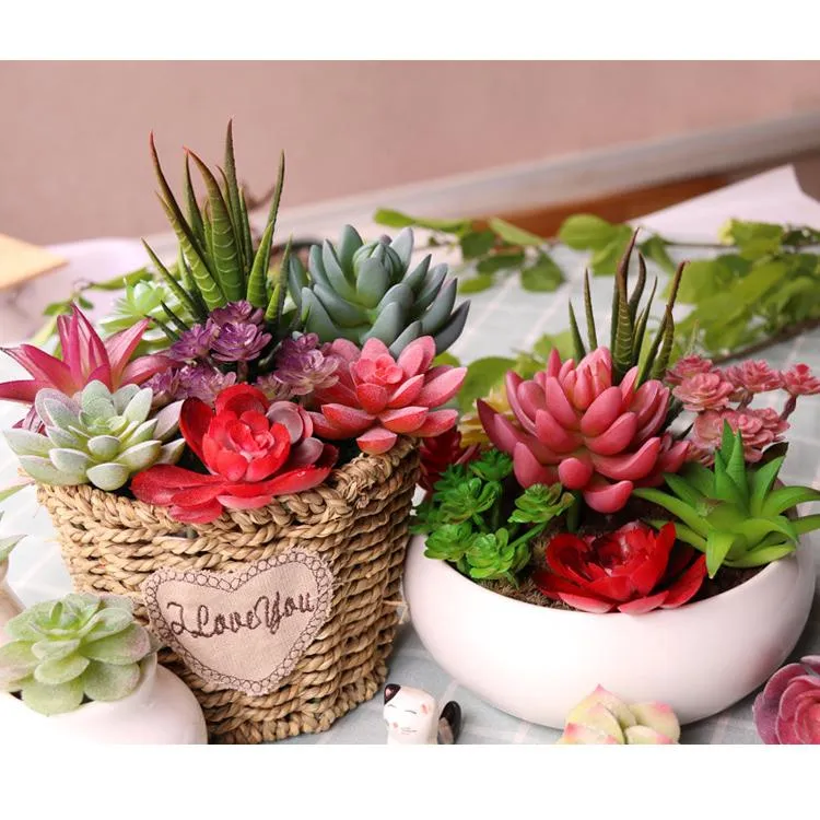 ceramic plant pots with drainage Succulent Pots, 6.1 Inch Succulent Planter Pots with Drainage Hole Pa   artketty