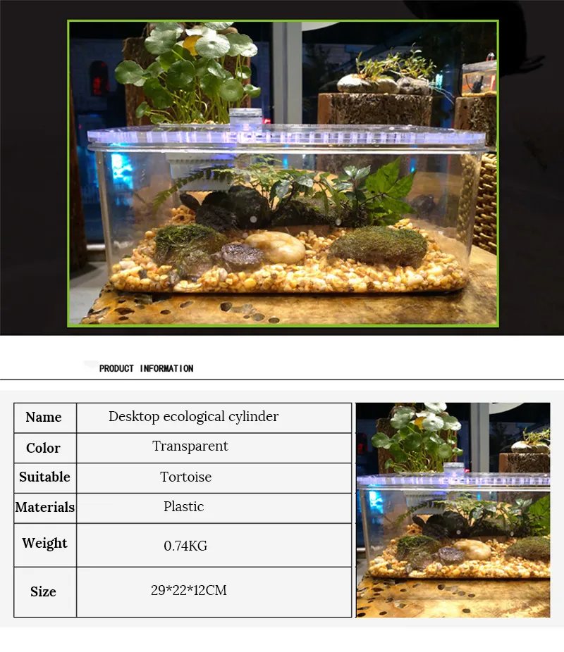 Large Clear Plastic Reptile Or Fish Tank With Platform For Easy Feeding And Breeding From Mqj88 41.85 DHgate.Com
