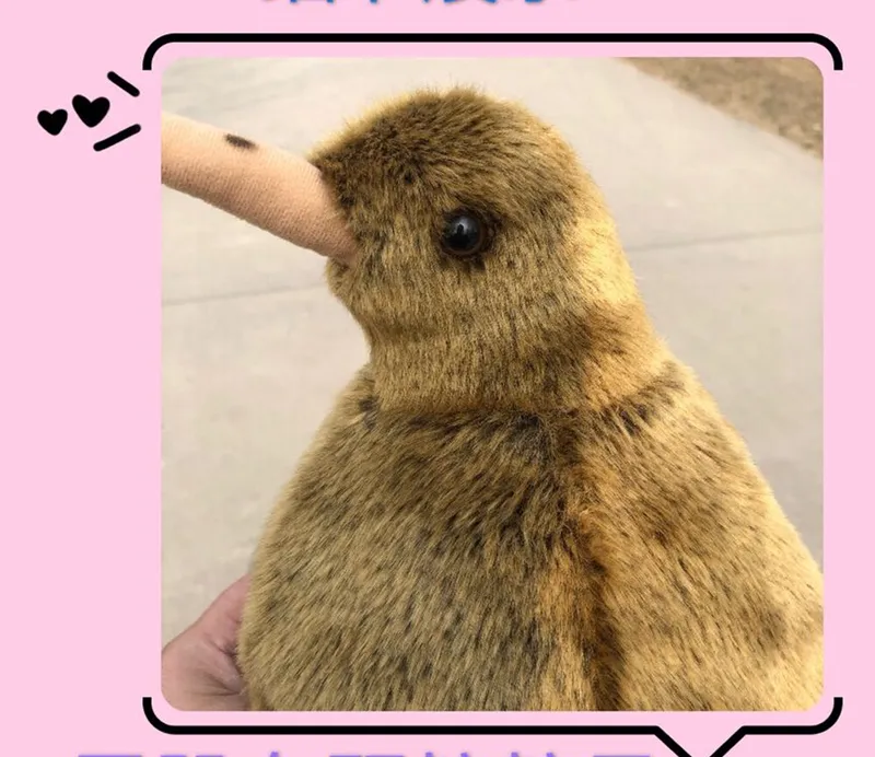 Kiwi bird doll deals