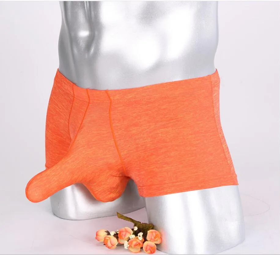 Calecon online elephant trompe