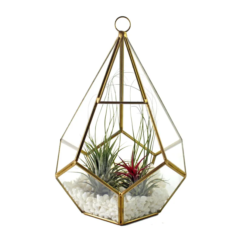 Creative Waterdrop Design Hanging Glass Terrarium Planter Modern Geometric Succulent Pot Diamond Shape Artistic Centerpiece Flower Vase