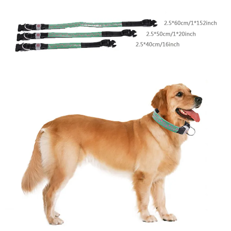 LED Outdoor Luminous Pet Dog Collars USB Charge Dog Collar Light Adjustable LED 4 Flashing Modes PU Night Flashing Pet Collar BC BH1251