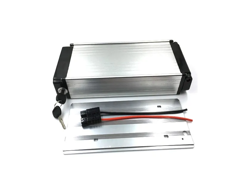 Cheap Price Rear Rack Ebike Electric Bike 48v Lithium Ion Battery 48V 20AH Lithium Ion Battery Pack 48v Battery For Electric Bike 1000W Moto From Liuzedong3333 294.88 DHgate.Com