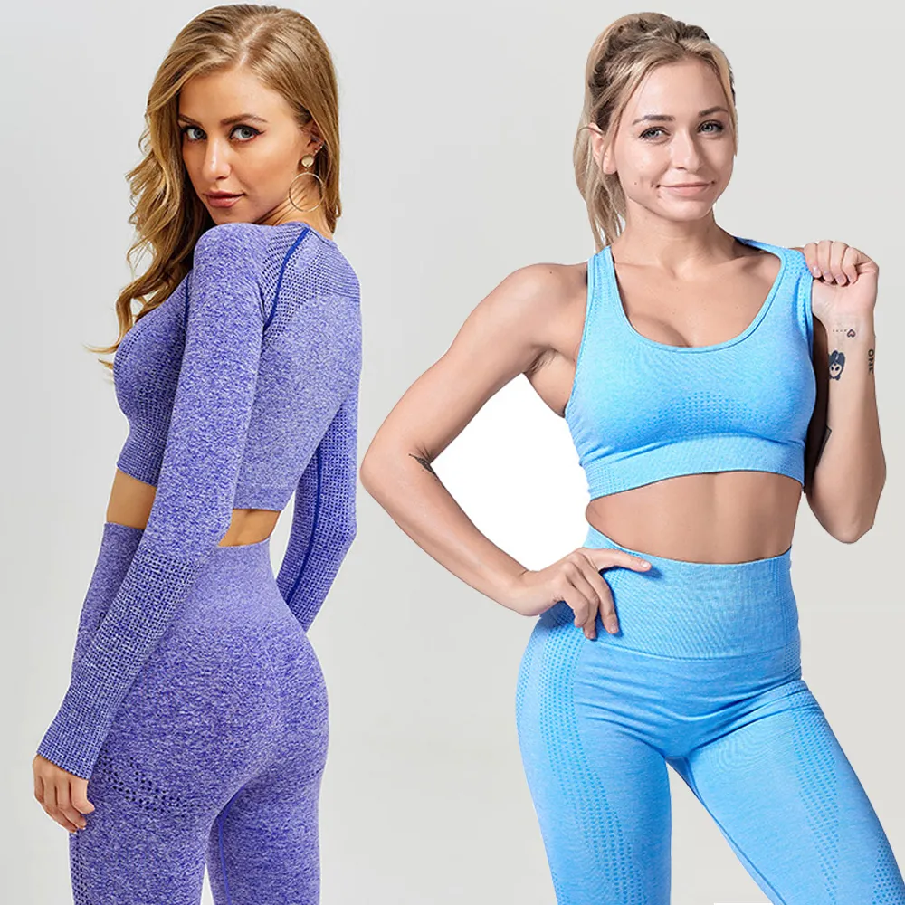 Seamless 2 peças Mulheres Yoga Conjunto de Ginásio Ginásio Leggings + Cropped Sutiã Esporte Mulheres Manga Longa Tracksuit Active Wear T200615