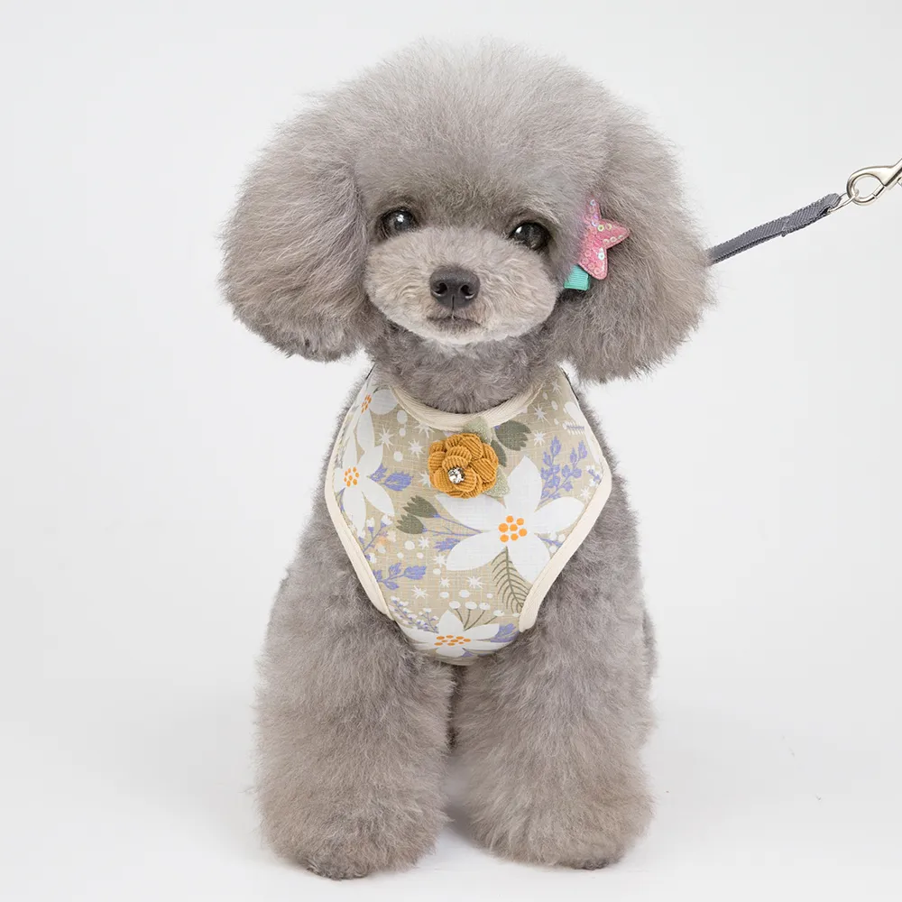 Cute small dog harness deals