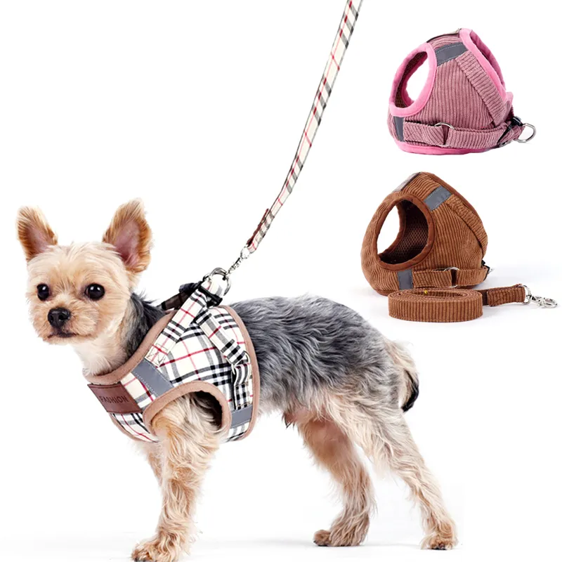 Łańcuch kołnierzyka dla szczeniąt Puppy Cute Pet Holders for Small Dog Kołnierz i zestawy smyczy Duża kamizelka psa