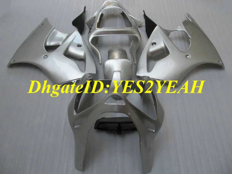 Motorcykel Fairing Kit för Kawasaki Ninja ZZR600 05 06 07 08 ZZR 600 2005 2008 ABS Cool Silver Fairings Set + Presenter KJ01