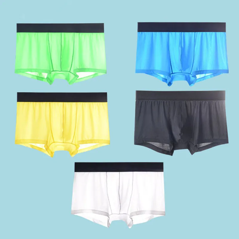 5pcs Mesh Boxer Shorts Underwear Cool Ice Silk Men's Boxer Underpants Super Breathable Men Sexy Slim Man Panties Transparent