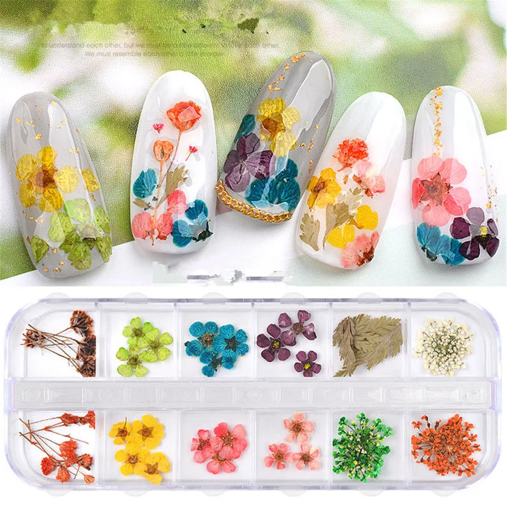 Na054 12 Cores Secas Flores Nail Art Decorações 3D Natural Daisy Gypsophila Preservado Flor seca DIY adesivos de unhas de manicure decalque